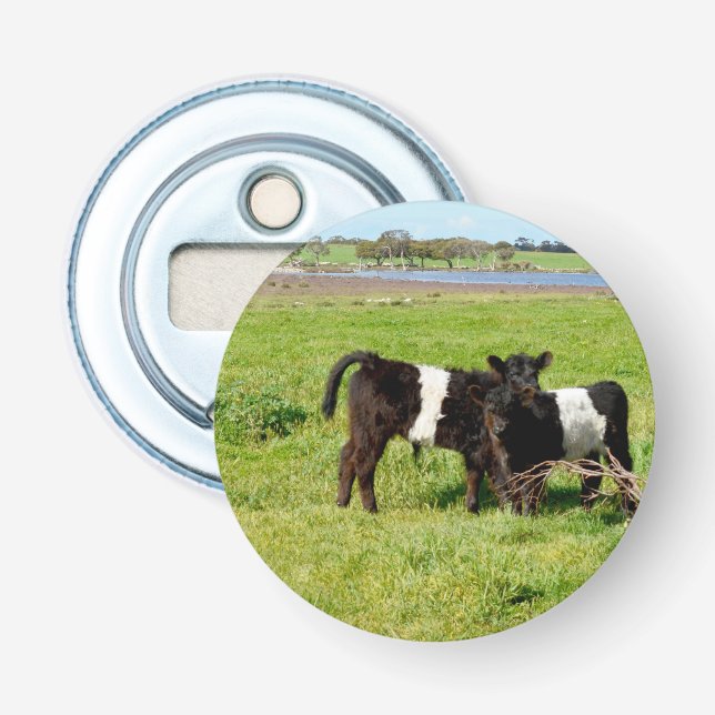 Baby Belted Galloway Cows In Country, Bottle Opener (Front)