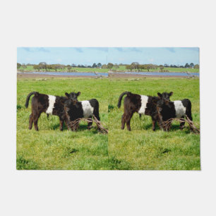 Baby Belted Galloway Cows In Country, Door Mat