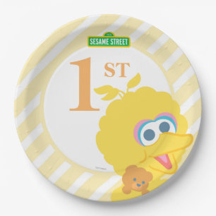 Baby Big Bird Birthday Paper Plate