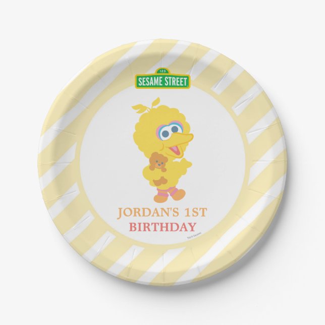 Baby Big Bird Birthday Paper Plate (Front)