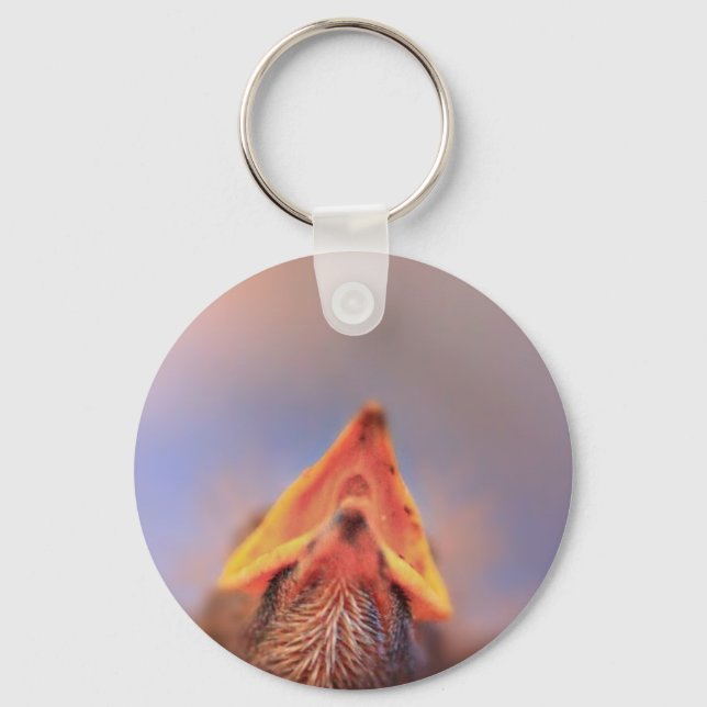 Baby Bird 2 Keychain (Front)