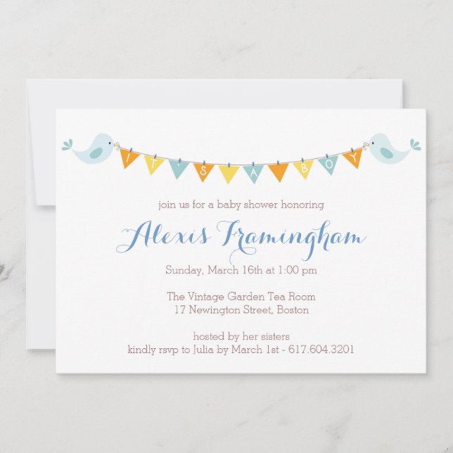 Baby Bird Bunting Baby Shower Invitation (Front)