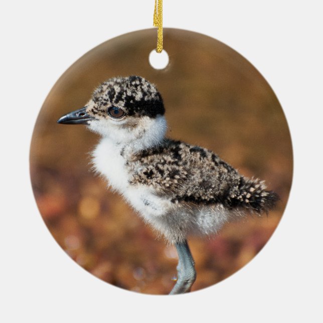 Baby Bird Ceramic Ornament (Back)