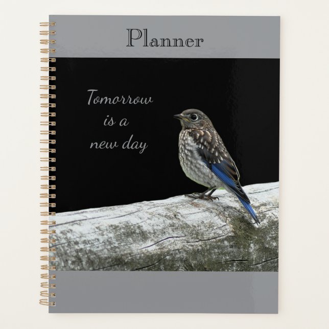 Baby Bird Planner (Devant)