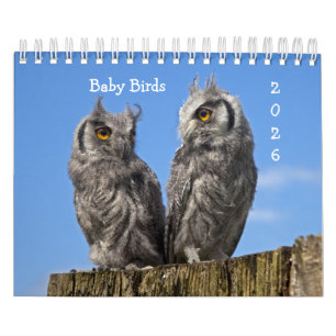 Baby Birds Calendar