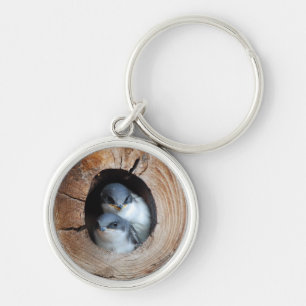 Baby Birds Keychain