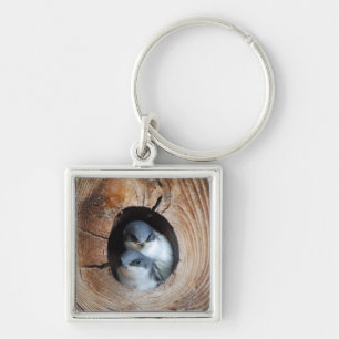 Baby Birds Keychain
