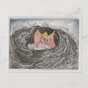 baby birds postcard
