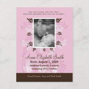Baby Birth Announcement Pink with Cocoa Fern Postcard