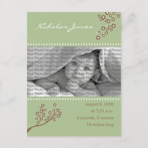 Baby Birth Announcement Sage Green Branch Design Postcard