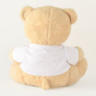 Baby Birth Stats and Hearts Bear