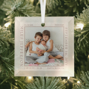 Baby Birth Stats White Snowflake Photo Frame Glass Ornament
