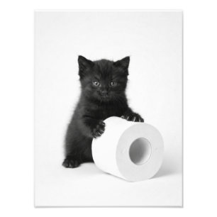Baby Black Kitten Guarding Toilet Paper Roll On Photo Print
