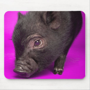Baby Black Pig Mouse Pad
