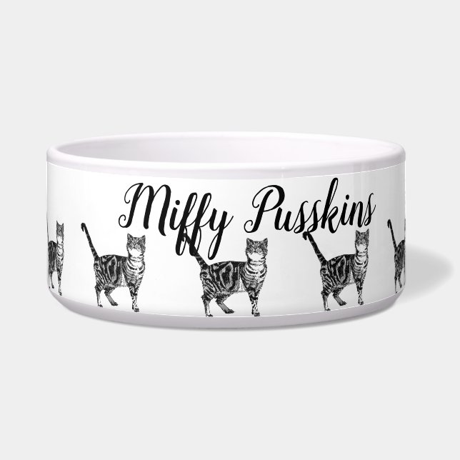 Baby Black White Tabby cat Cats Whimsical Art (Front)