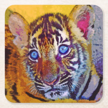 Baby Blue Eyes Tiger Cub