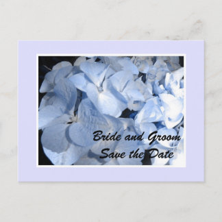 Baby Blue Hydrangea Save the Date Announcement Postcard