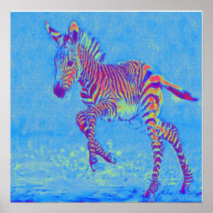 baby blue zebra running poster