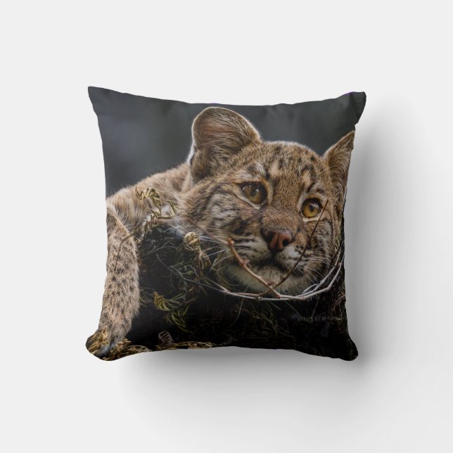 Baby Bobcat Lying in Tree Throw Pillow (Front)