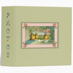 Baby book for Triplets or 3 grandchildren  chicks Binder