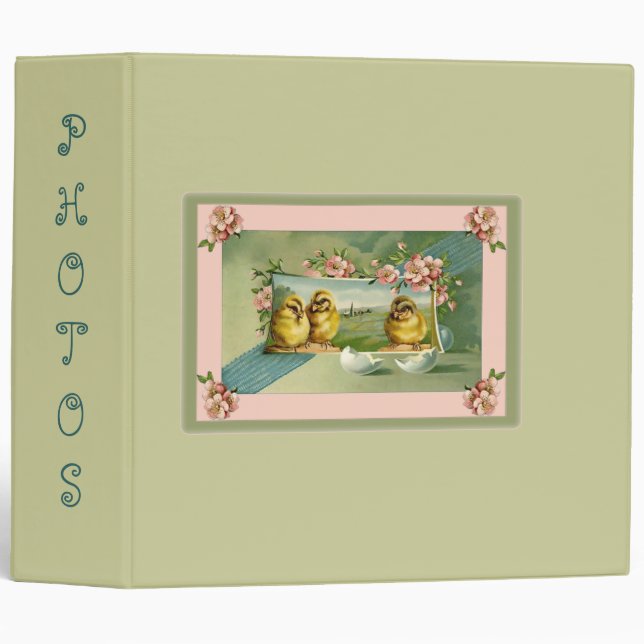 Baby book for Triplets or 3 grandchildren  chicks Binder (Front/Spine)