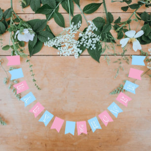 Baby Boy and Girl Twins Blue and Pink Bunting Flags