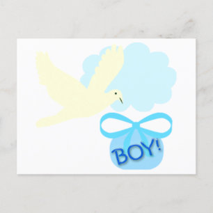 Baby Boy Announcement Postcards