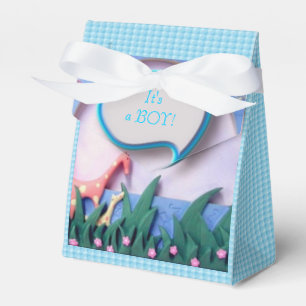 Baby Boy Birth Favor Box