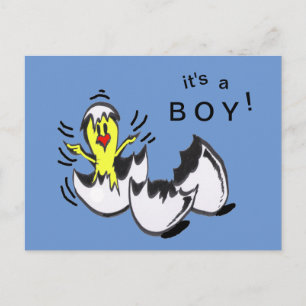 Baby BOY Chick Cartoon Postcard