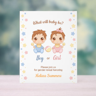 Baby Boy Girl Gender Reveal Party Acrylic Sign