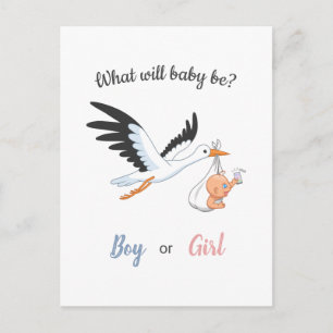Baby Boy Girl Stork Gender Reveal Party Invitation Postcard