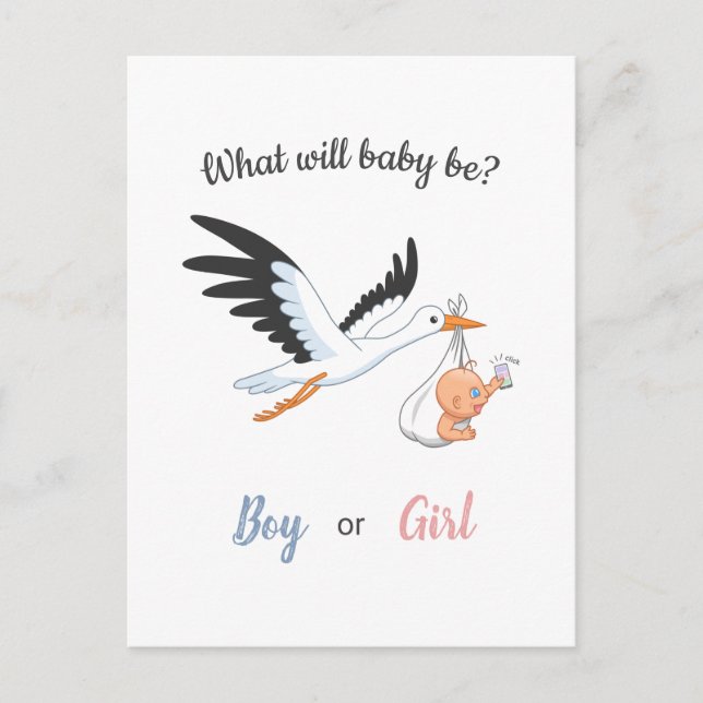Baby Boy Girl Stork Genre Reveal Party Invitation (Devant)