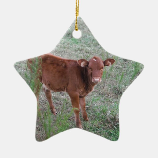 Baby Brown Cow . Ceramic Ornament (Front)