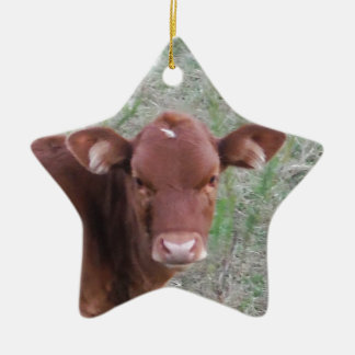 Baby Brown Cow face Ceramic Ornament