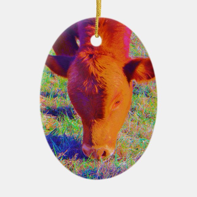 Baby Brown Cow face. RAINBOW GRASS Ceramic Ornament (Front)