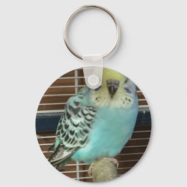 Baby budgie keychain (Front)