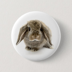 Baby Bunny 2 Inch Round Button