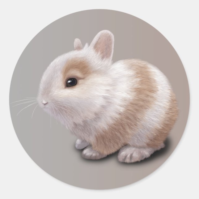 Baby Bunny Classic Round Sticker (Front)