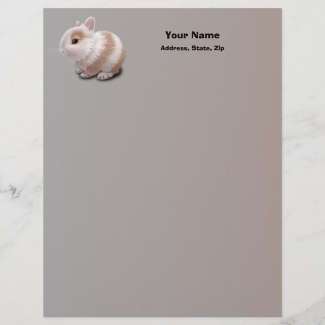 Baby Bunny Letterhead (Front)