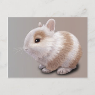 Baby Bunny Postcard