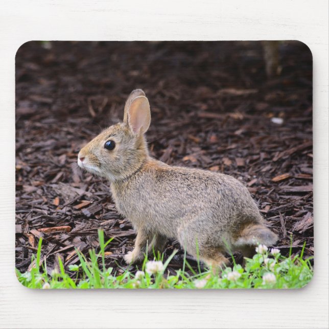 "Baby Bunny Rabbit" Mouse Pad (Front)
