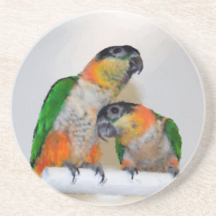 Baby Caique Parrots Dessous de verre animal