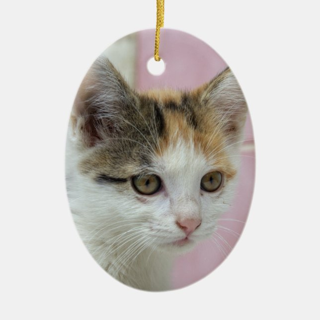 Baby Calico Ceramic Ornament (Front)