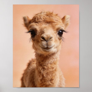 Baby Camel Portrait – Desert Nursery Wall Art