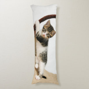 Baby Cat, Cute Kitten Climbing, cuddly Body Pillow