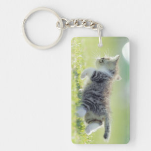 Baby cat running on grass field. keychain