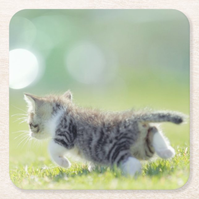 Baby cat running on grass field. square paper coaster (Front)
