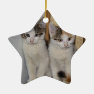 Baby Cats Ceramic Ornament