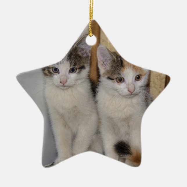 Baby Cats Ceramic Ornament (Front)