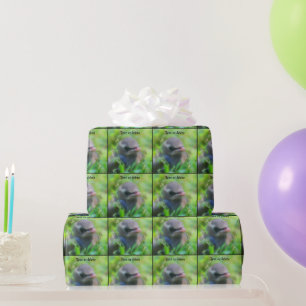 Baby Cedar Waxwing Bird Nature Personalized Wrapping Paper
